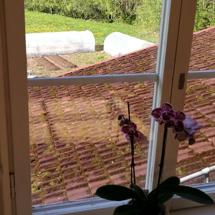 Sjugare Gard Bed & Breakfast เลกซันด์ ภายนอก รูปภาพ